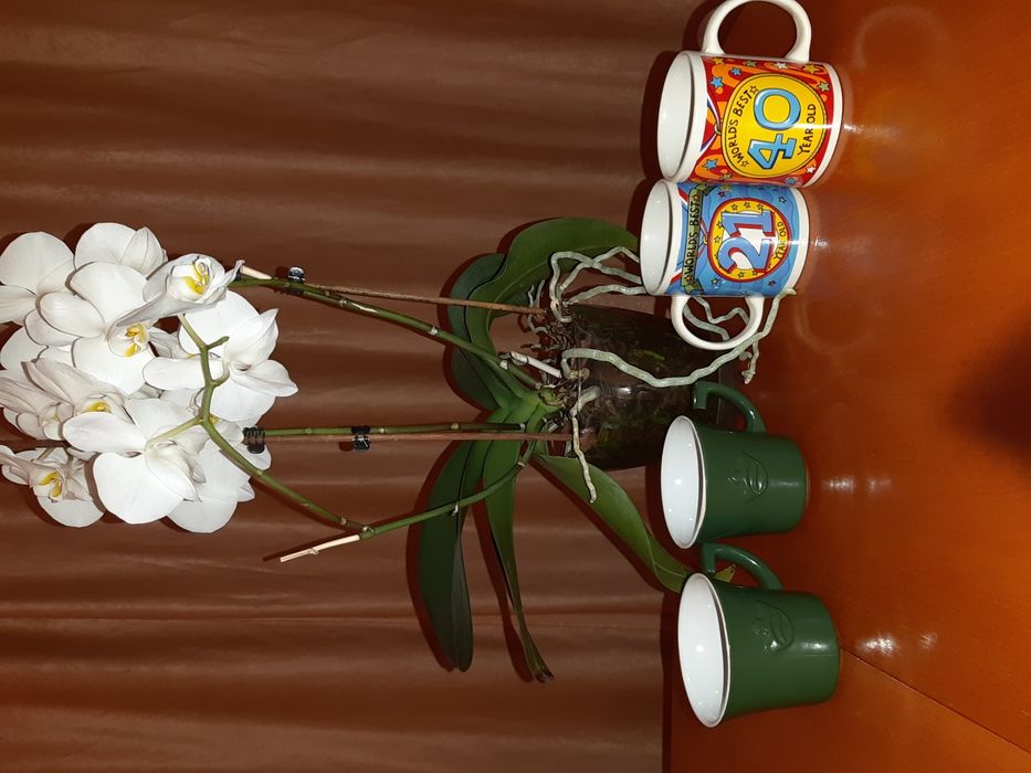 Български порцеланови чинии, стъклени чаши