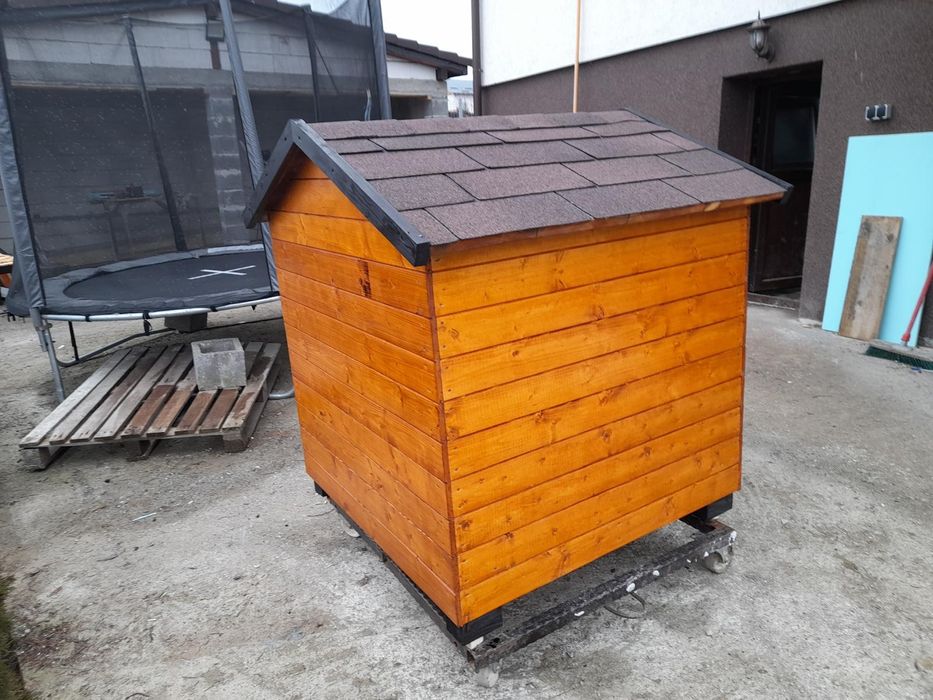 Cusca de câine izolată