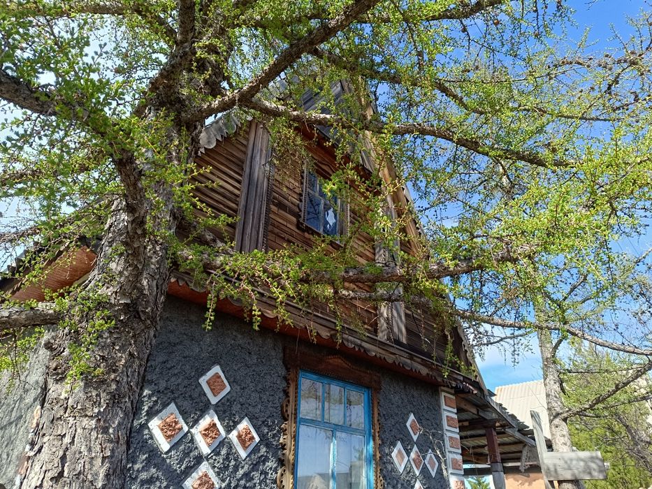 Дача (две дачи вместе)