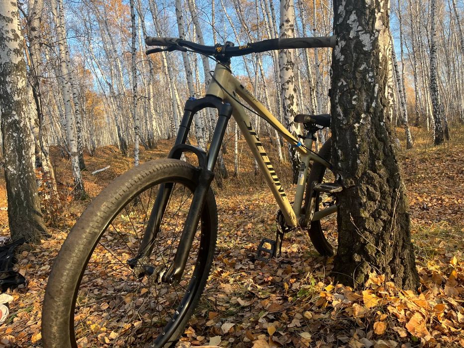 speedone bestroyer 27.5 s