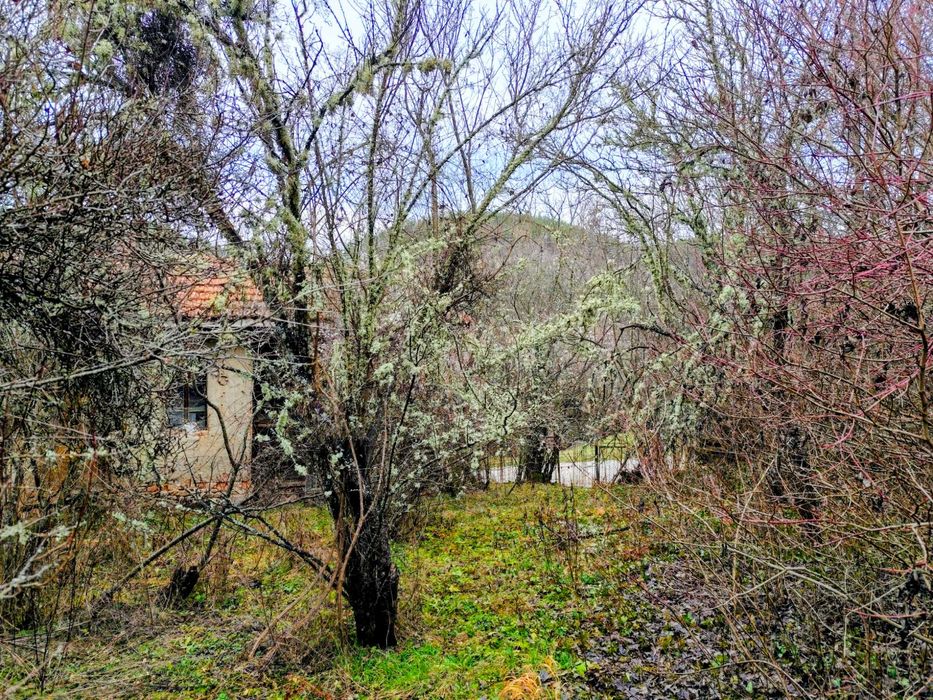 Продава се Парцел в София, Карпузица - 980 кв.м за 11 €/кв.м - Снимка #8