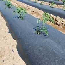 Folie Mulcire pt legume/fructe PERFORATA/NEPERFORATA 15-30 Micro