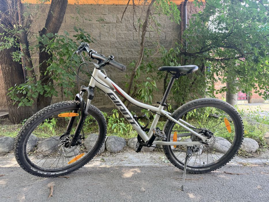 Велосипед Giant XtC Junior Disc 24