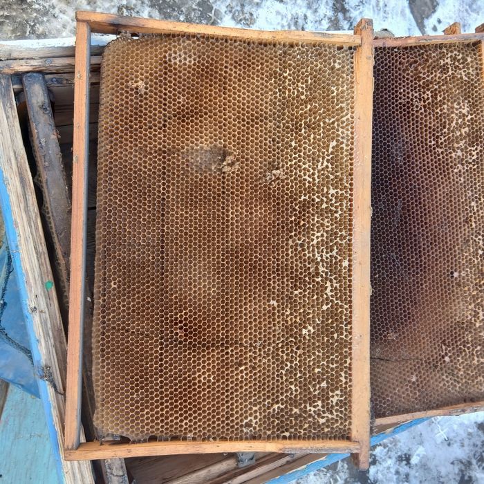 Продам улики ладан