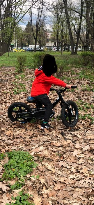 Bicicleta electrica copii