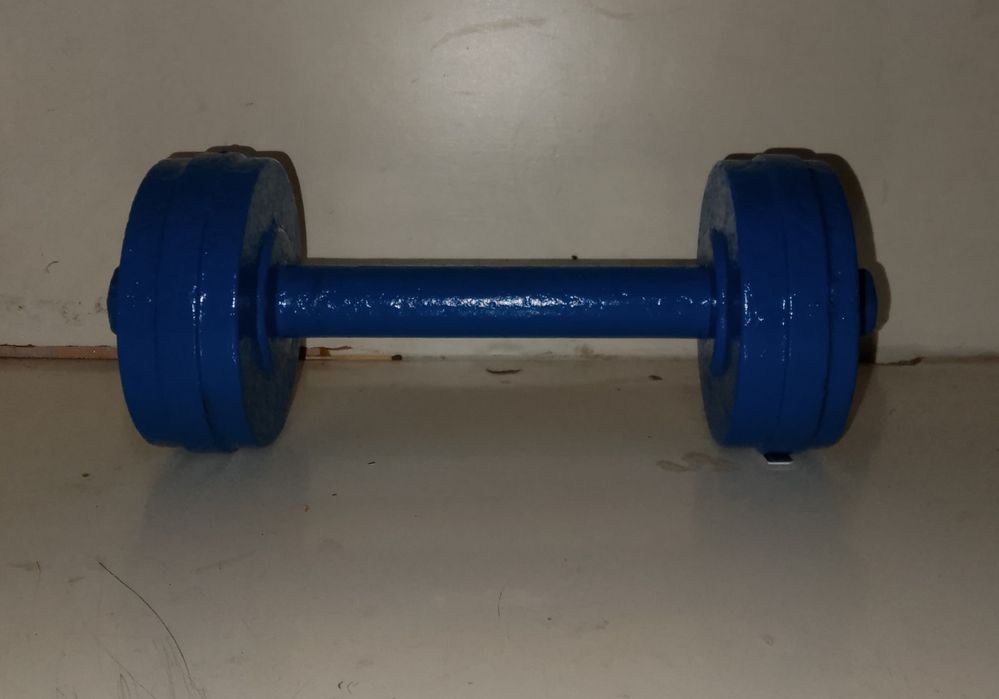 ГАНТЕЛЬ спортивный 5 кг