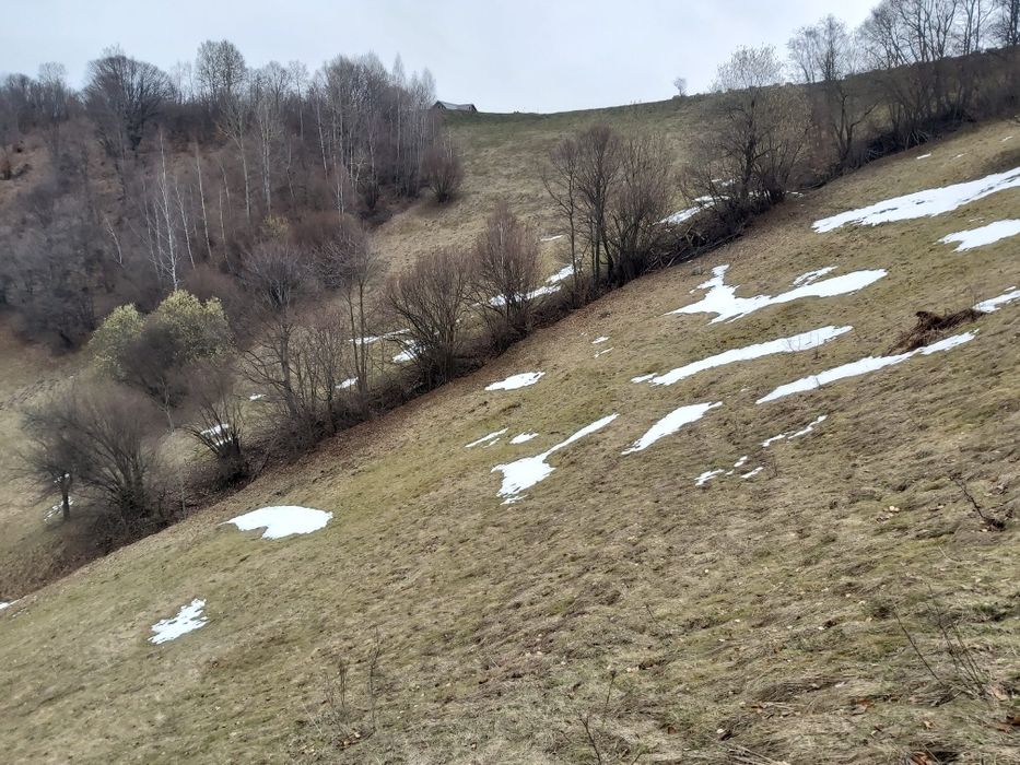 Teren de vânzare