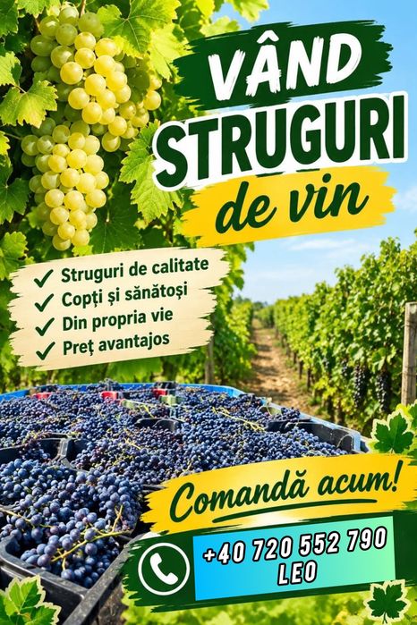 Vand struguri pentru vin