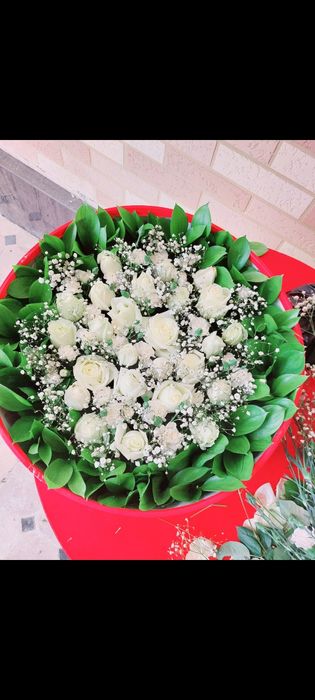 S 150 000.Shikarnie sveti jevoy priemlivie tseni . vozmojen dostavka