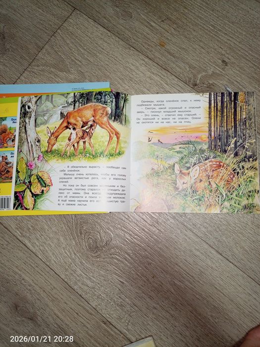 Детские книжки о животных