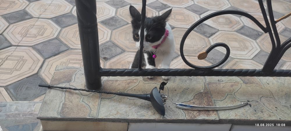 Antena ot ttreker 2 novaya  pochti obmen xam bor