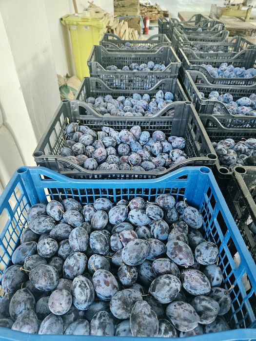 Prune de vanzare BIO
