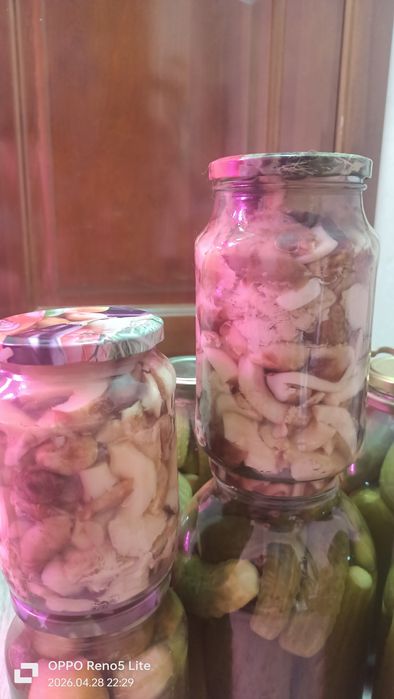 Продам соленье  огурцы грибы