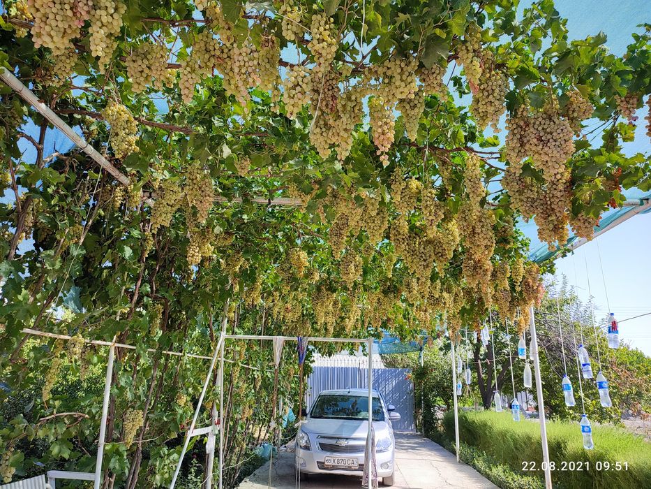 Участок в городе Навои