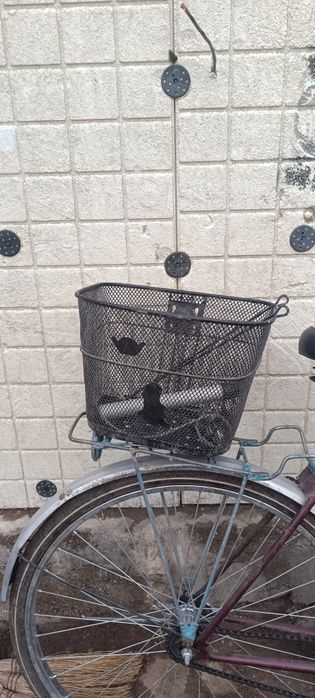 Срочно продам Урал советский