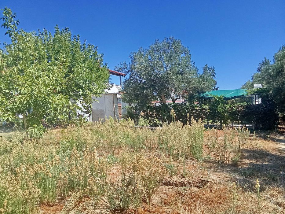 Самостоятелен парцел в Кариани -6000 евро годишно.