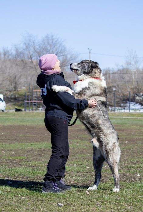 Открыт для вязок кобель САО