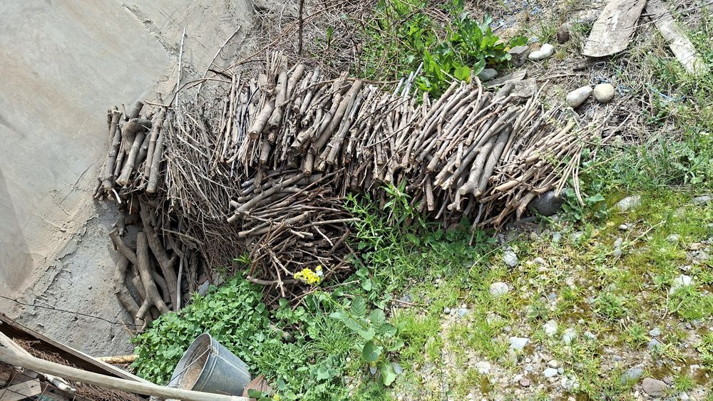 Отинла–дарахтла, дрова