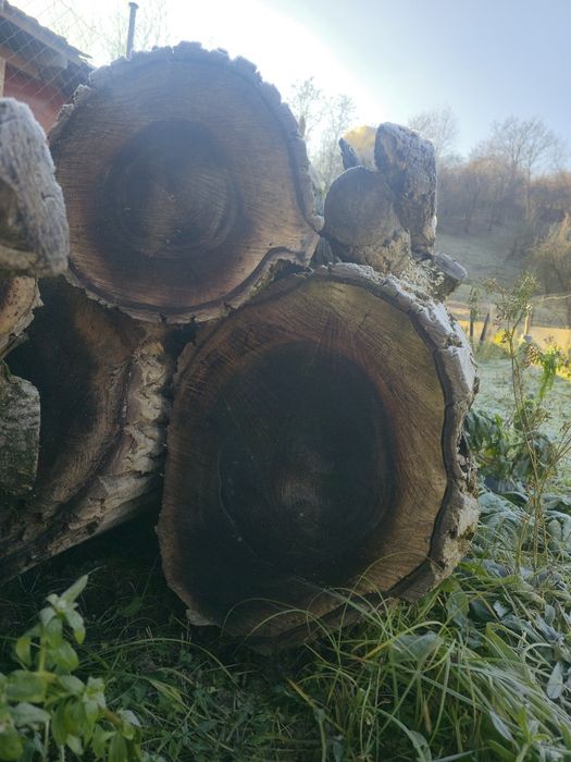 Vand lemn de NUC pret  NEGOCIABIL