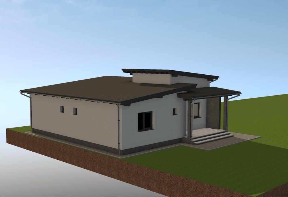 Casa noua de vanzare