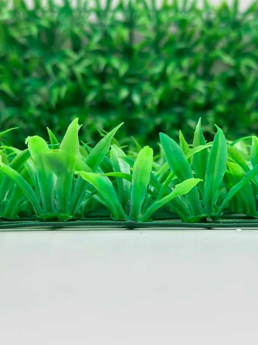 Фитостена 60×40 см — самшит без ухода