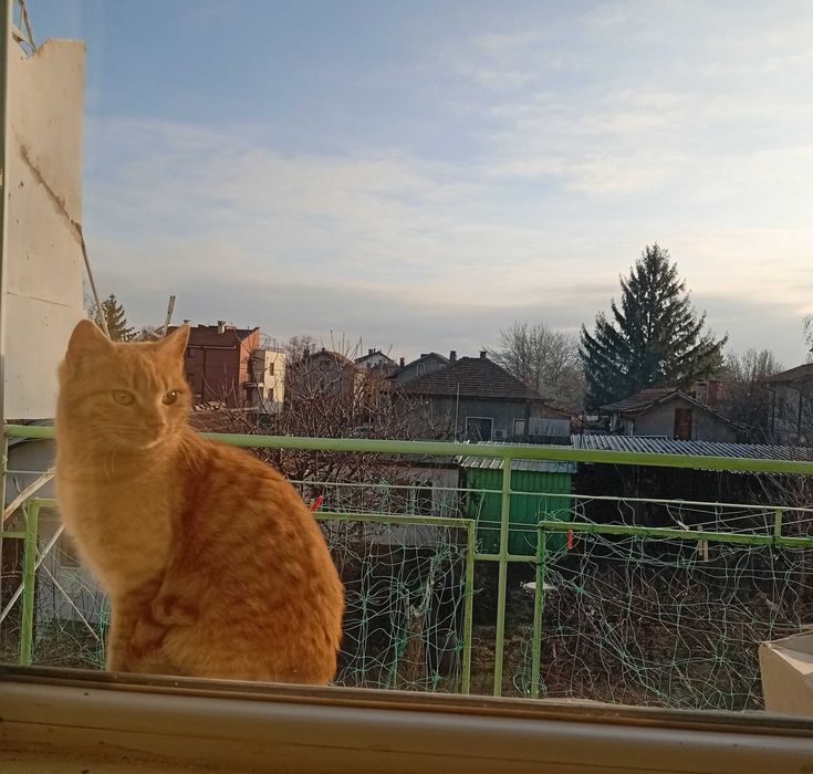 Етаж от къща. Собственик, Наем