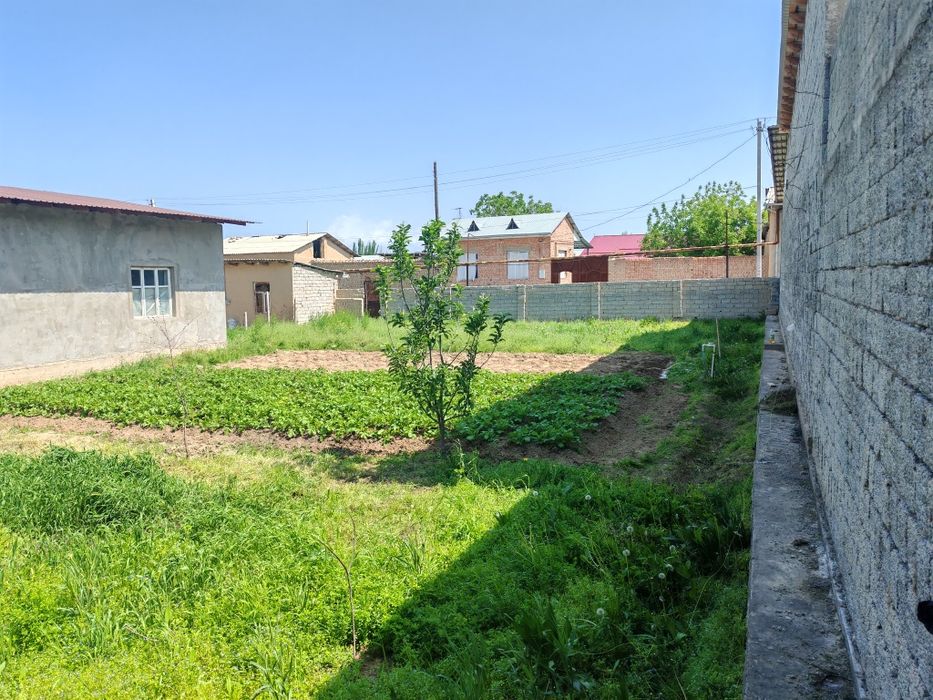 Участка йер сотилади 6 сотих 1 сотихи 15.000$