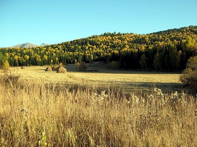 Земельный участок