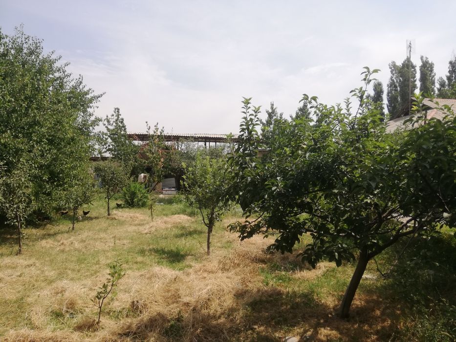 Уи сотилади юкори чирчик