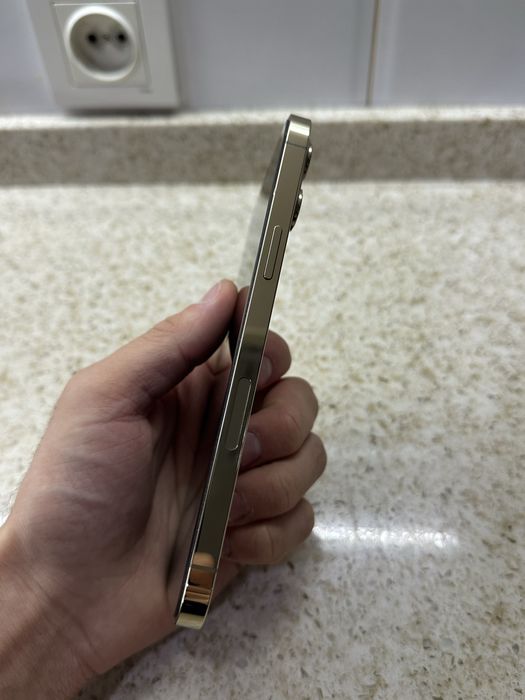 iPhone 12 pro max 256 GB LL/A