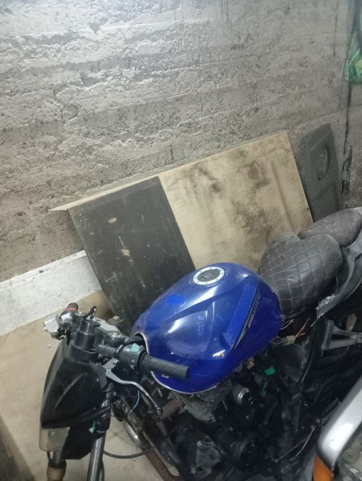 продам Рейсер фалькон