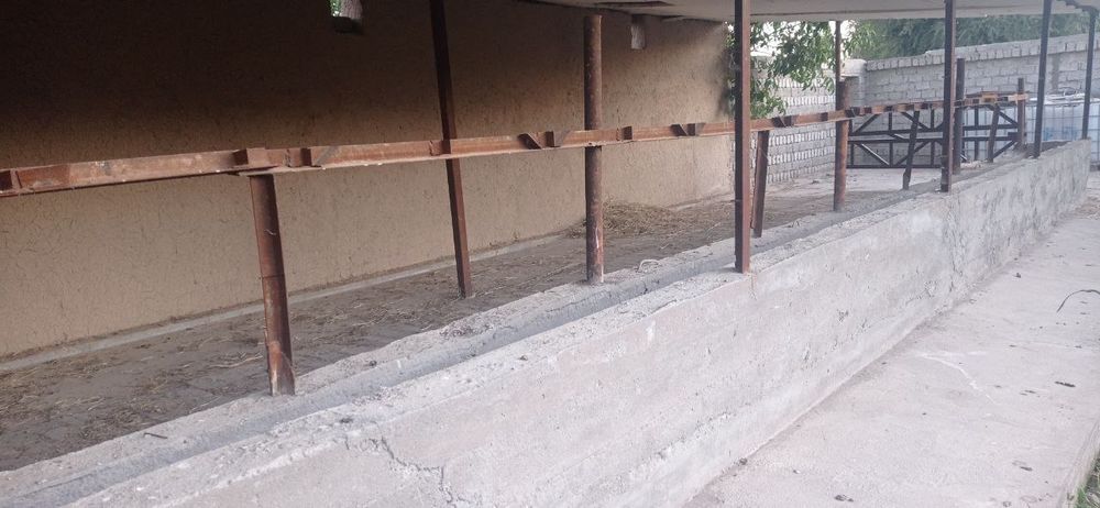 Uy va ferma sotiladi