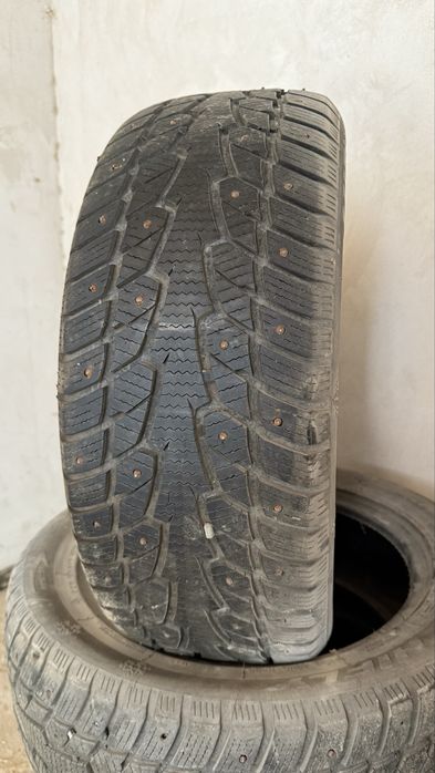 Буу щины 225/55R17