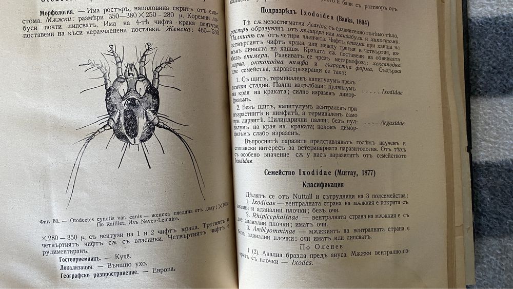 Антикварна книга Пчеларство/Ветеринарство