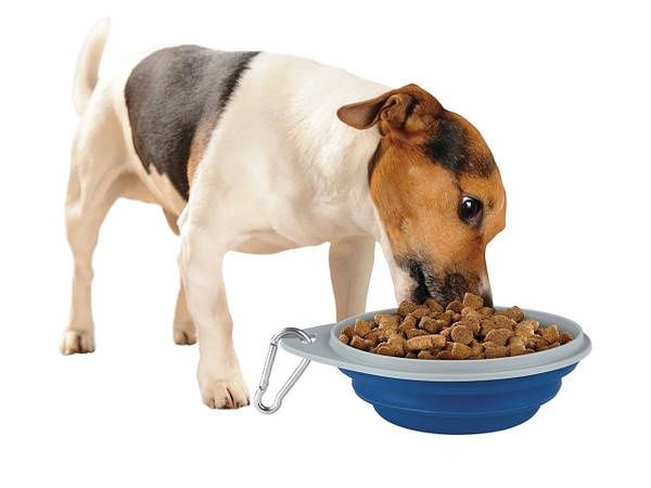 Bol pliabil din silicon pentru caini - SIGILAT