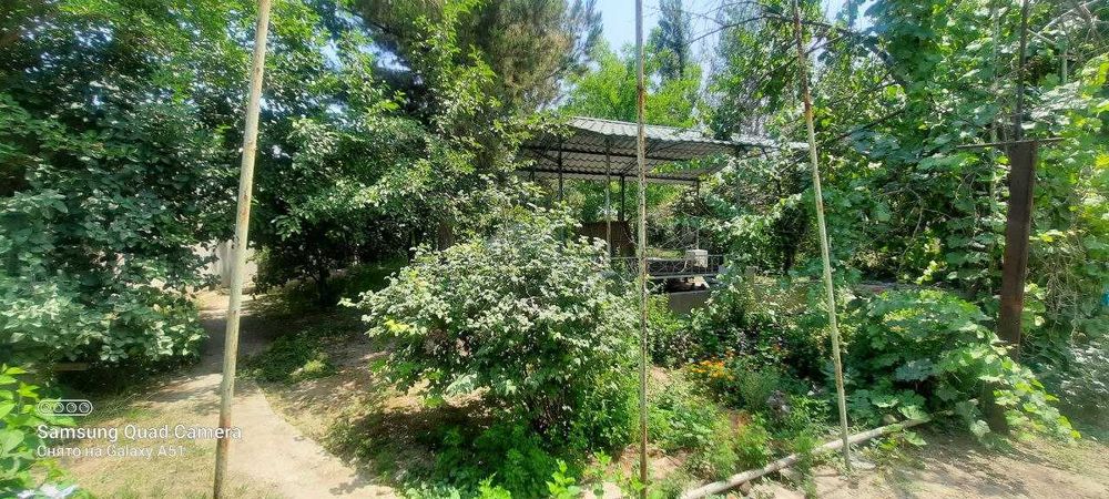 Dacha sotiladi, Nazarbekda