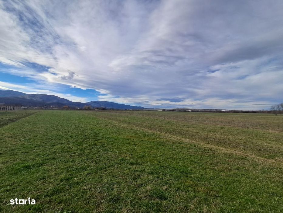 Teren extravilan de vanzare – 500 mp – Talmaciu, zona apropiata de