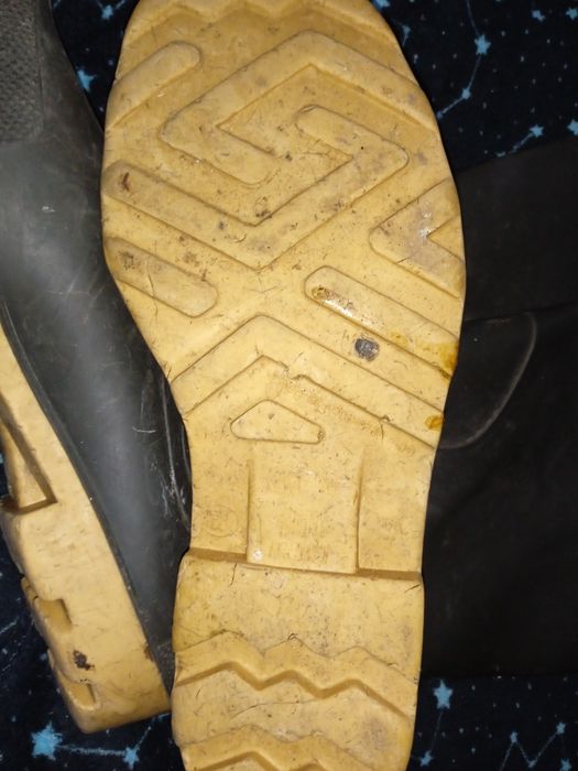 Продам болотные сапоги