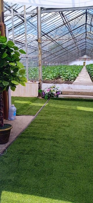 Продам теплицу в хорошем состоянии
