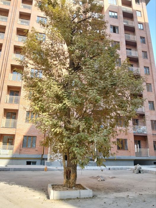 Продается квартира коробка