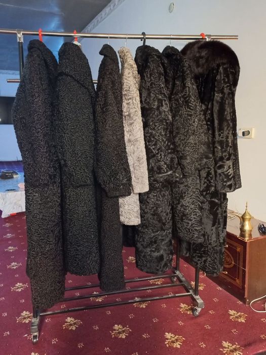 Qadimgi qalin sheroziy popoqchilo biladi