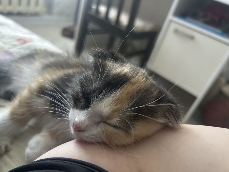 Марғау,котеноккк