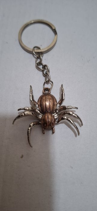 Брилок паук.  Паук