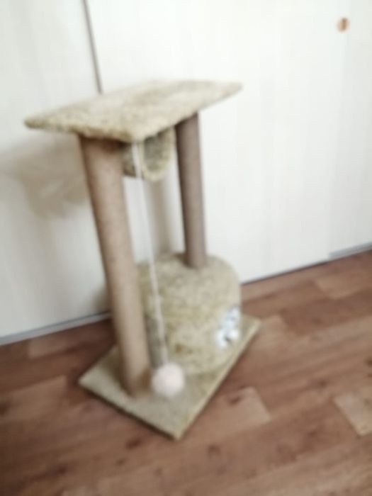 Шикарные домики для кошек