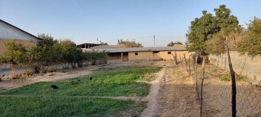 Hovli sotiladi 12 sotx