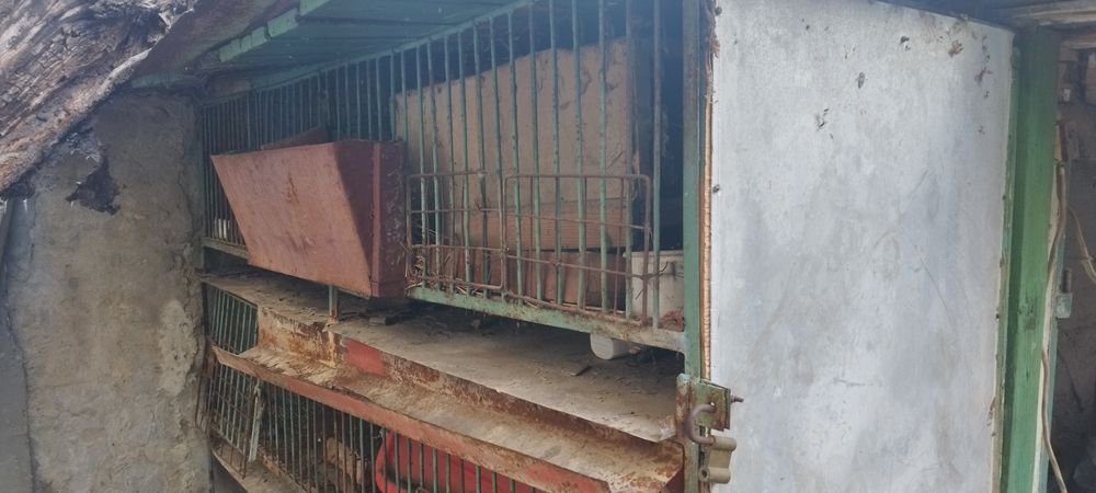 Метален зайчарник