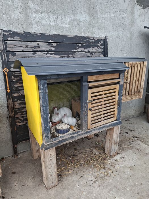 Cușcă pentru iepurași