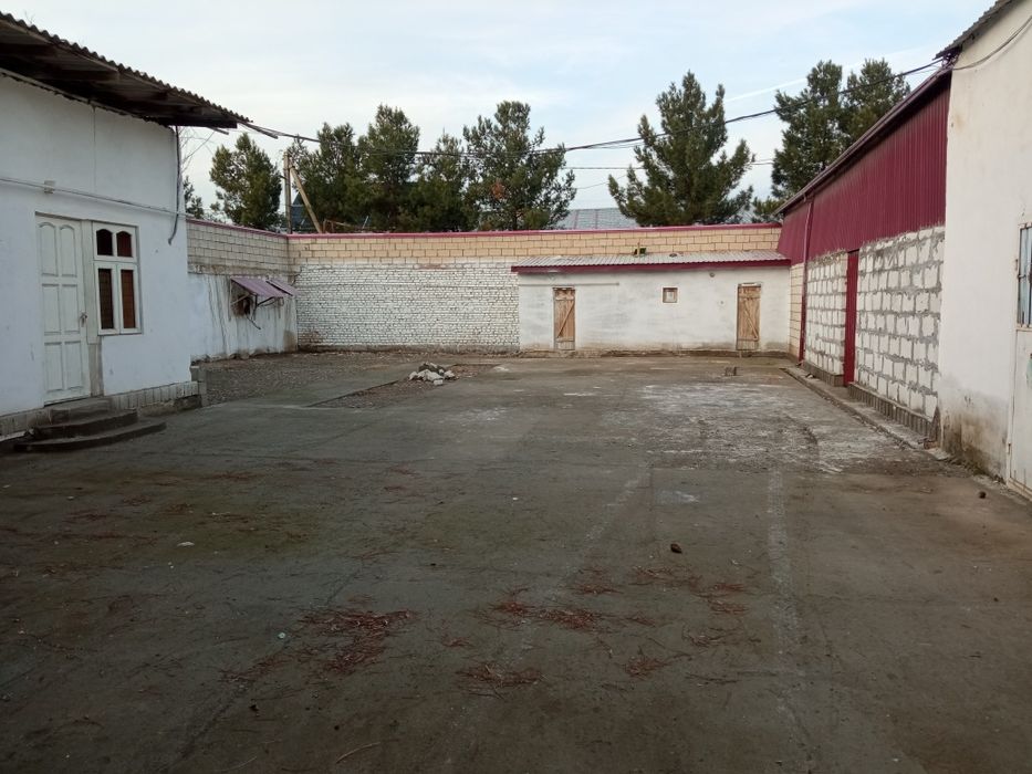 Baza sotiladi Karmana tumanida