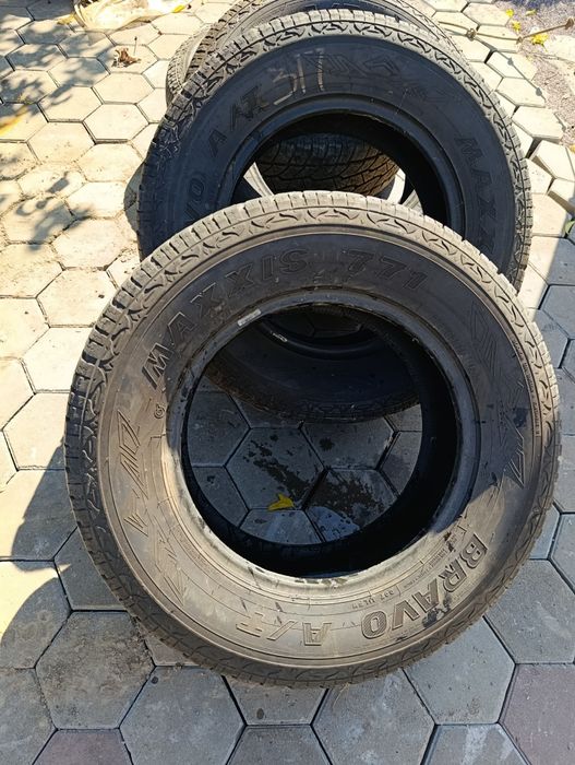 Авто шины Максим браво