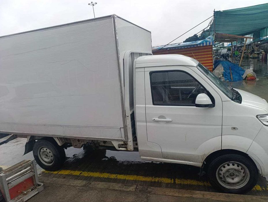 Truck Shineray T30